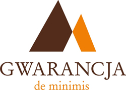 logo-deminimis